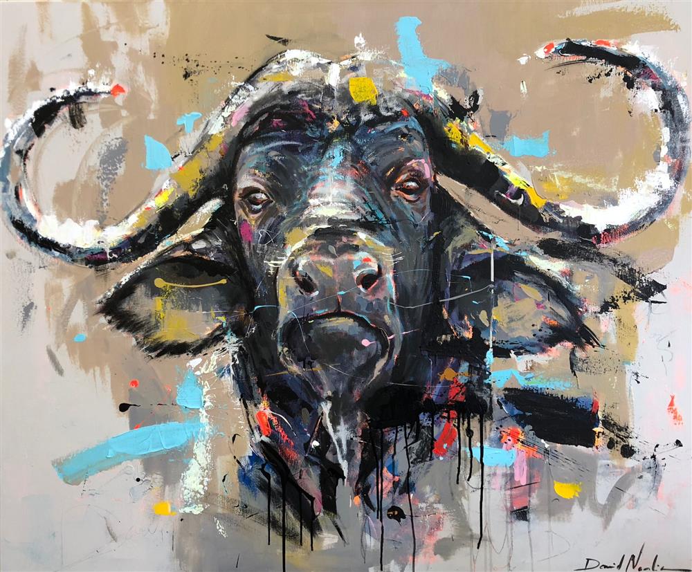 David Noalia