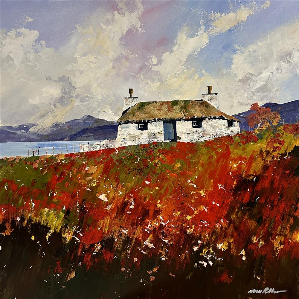 Nick Potter