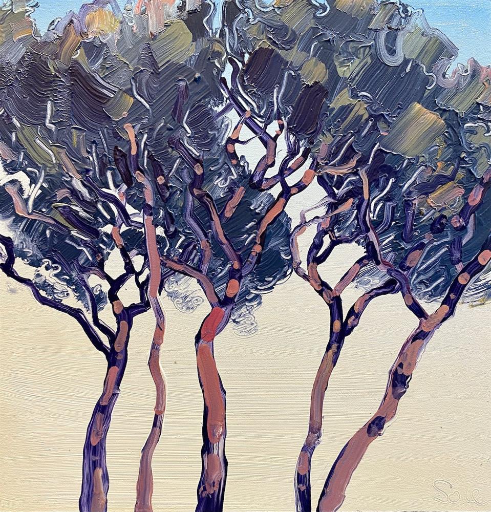 Michael Sole