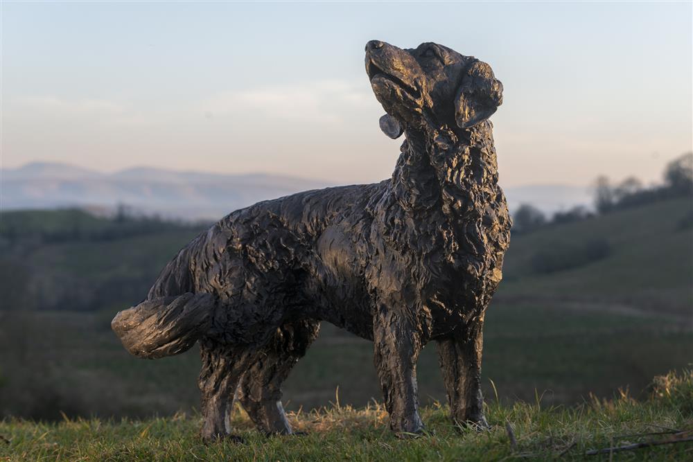 Waggling Golden Retriever