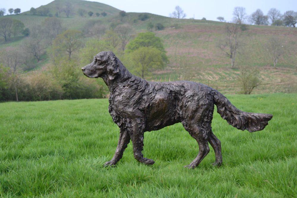 Walking English Setter