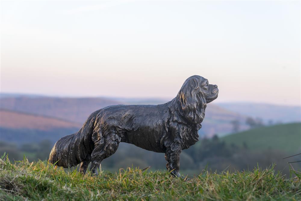 Standing King Charles Cavalier