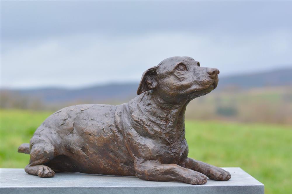 The Lying Jack Russell Terrier