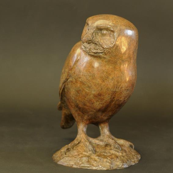 Little Owl