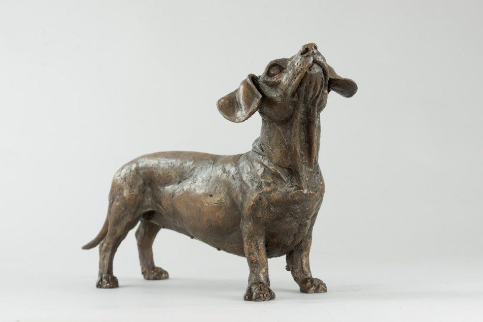 Standing Dachshund