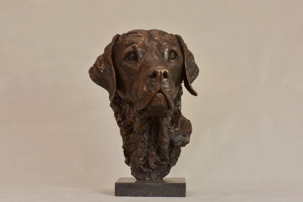 The Labrador Portrait III