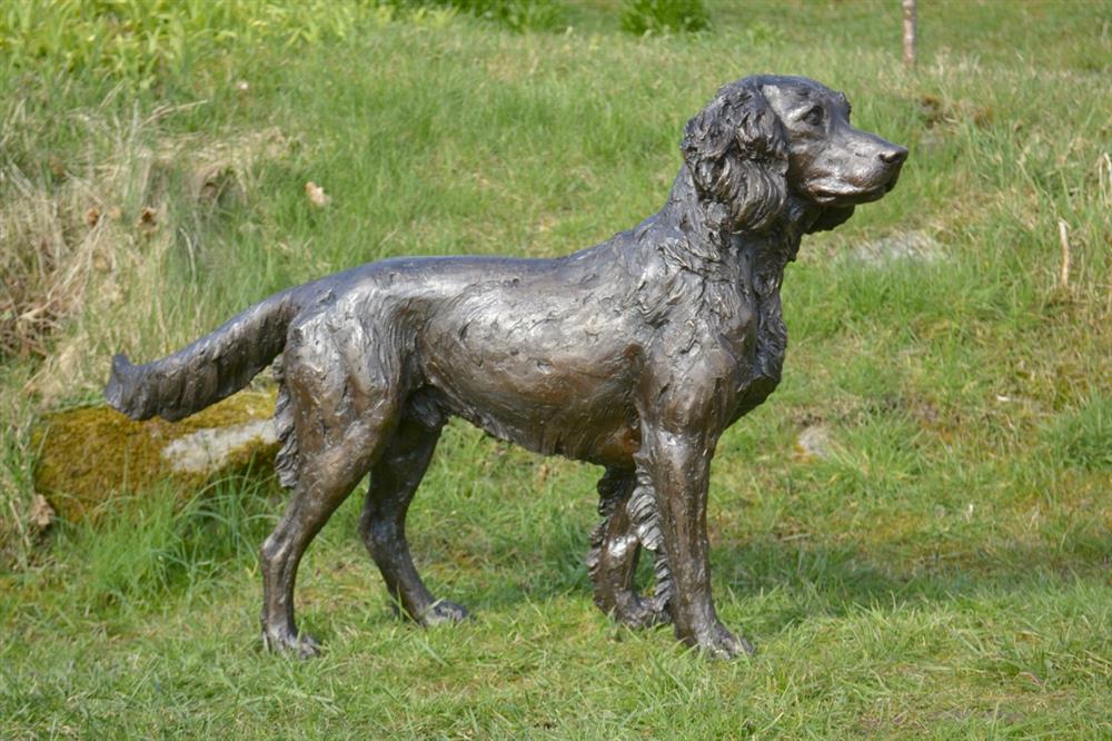 Standing Springer Spaniel